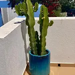 Casa Hanna *